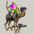 BerberCamel.gif