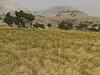 Click image for larger version. 

Name:	0162-Numantia.jpg 
Views:	4315 
Size:	291.7 KB 
ID:	13202