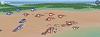 Click image for larger version. 

Name:	SamuraiWars16.jpg 
Views:	808 
Size:	13.8 KB 
ID:	14146