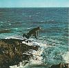 Click image for larger version. 

Name:	12 - CNEC Collioure.jpg 
Views:	361 
Size:	191.3 KB 
ID:	16088