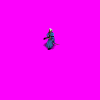 Click image for larger version. 

Name:	Janissary 17th C.gif 
Views:	418 
Size:	202.5 KB 
ID:	17754