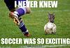 Click image for larger version. 

Name:	steal-48-knew.jpg 
Views:	129 
Size:	165.0 KB 
ID:	1838