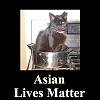 Click image for larger version. 

Name:	Asian Lives Matter.jpg 
Views:	155 
Size:	113.4 KB 
ID:	18703