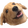 Name:  wowee.png
Views: 1355
Size:  2.5 KB