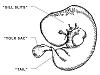Click image for larger version. 

Name:	figure1-lge.jpg 
Views:	502 
Size:	86.9 KB 
ID:	20924