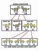 Click image for larger version. 

Name:	dog-fur.jpg 
Views:	235 
Size:	27.5 KB 
ID:	20935