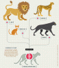 Click image for larger version. 

Name:	cat-kind-chart.gif 
Views:	286 
Size:	109.0 KB 
ID:	20937