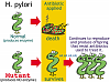 Click image for larger version. 

Name:	gg.png 
Views:	302 
Size:	202.6 KB 
ID:	20938