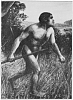 Click image for larger version. 

Name:	220px-PSM_V82_D210_Reconstruction_of_Eoanthropus_dawsoni.png 
Views:	137 
Size:	56.9 KB 
ID:	20947