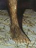 Click image for larger version. 

Name:	ape_foot.jpg 
Views:	1170 
Size:	39.0 KB 
ID:	20957