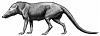 Click image for larger version. 

Name:	pakicetus-depiction.jpg 
Views:	1183 
Size:	8.3 KB 
ID:	20966