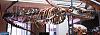 Click image for larger version. 

Name:	1200px-Basilosaurus_cetoides_%281%29.jpg 
Views:	1165 
Size:	146.8 KB 
ID:	20967