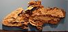 Click image for larger version. 

Name:	1200px-Tiktaalik_Chicago.jpg 
Views:	1165 
Size:	179.7 KB 
ID:	20970
