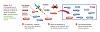 Click image for larger version. 

Name:	antibiotic-resistance.jpg 
Views:	102 
Size:	27.9 KB 
ID:	20983