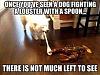 Click image for larger version. 

Name:	e00.jpg 
Views:	57 
Size:	38.4 KB 
ID:	23080