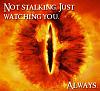 Click image for larger version. 

Name:	lolotr-stalking.jpg 
Views:	230 
Size:	100.3 KB 
ID:	2438