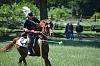 Click image for larger version. 

Name:	DSC_0642 g.JPG 
Views:	75 
Size:	390.3 KB 
ID:	24780