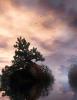 Click image for larger version. 

Name:	723use640.jpg 
Views:	148 
Size:	44.5 KB 
ID:	5647