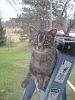 Click image for larger version. 

Name:	HEFFFFFFYYYY.jpg 
Views:	125 
Size:	75.7 KB 
ID:	6567