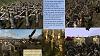 Click image for larger version. 

Name:	126.jpg 
Views:	201 
Size:	728.4 KB 
ID:	7964