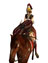 Name:  #amazonmildemilancehorse.jpg
Views: 2107
Size:  13.4 KB
