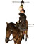 Name:  #amazonmilitiahorse.jpg
Views: 1279
Size:  13.6 KB