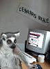 Click image for larger version. 

Name:	Lemurs-Rule-----3832.jpg 
Views:	134 
Size:	9.1 KB 
ID:	980