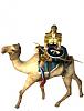 Click image for larger version. 

Name:	INFO_camelriders.jpg 
Views:	1027 
Size:	30.1 KB 
ID:	9848