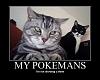 Click image for larger version. 

Name:	pokemans0ue9.jpg 
Views:	215 
Size:	51.0 KB 
ID:	5917