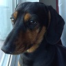 Egix's Avatar