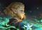 Wisdom's Avatar