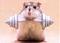 Newyn's Avatar