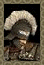 Eisenhorn538's Avatar
