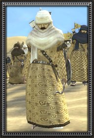Desert archers info.jpg