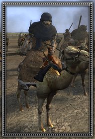 Camel gunners info.jpg