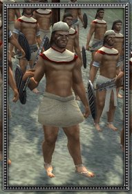 Native mercenaries info.jpg