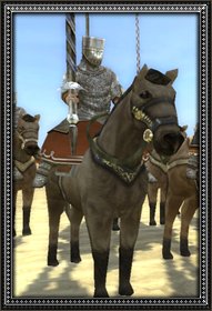 Christian guard info.jpg