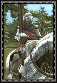 Royal banderium info.jpg