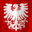 FN POLISH.gif