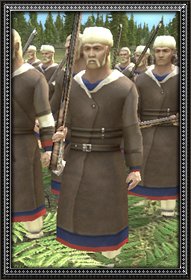 Cossack musketeers info.jpg