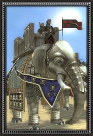 Elephants info.jpg