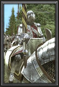Polish guard info.jpg