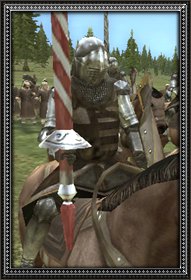 Serbian knights info.jpg