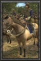 Border horse info.jpg